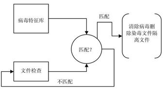 數(shù)字時代的守護(hù)者 防毒軟件與網(wǎng)絡(luò)信息安全軟件開發(fā)的重要性
